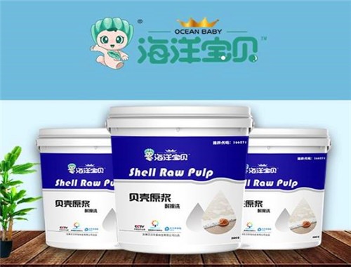 海洋宝贝贝壳粉